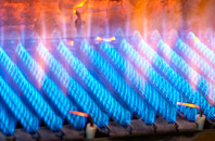 Lyngford gas fired boilers